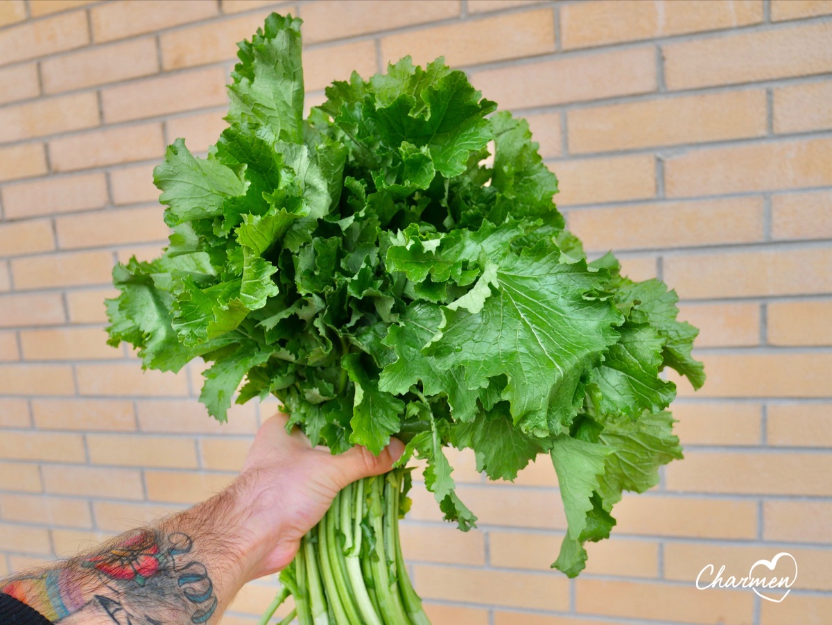 cime di rapa