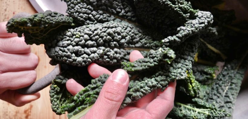 cavolo nero