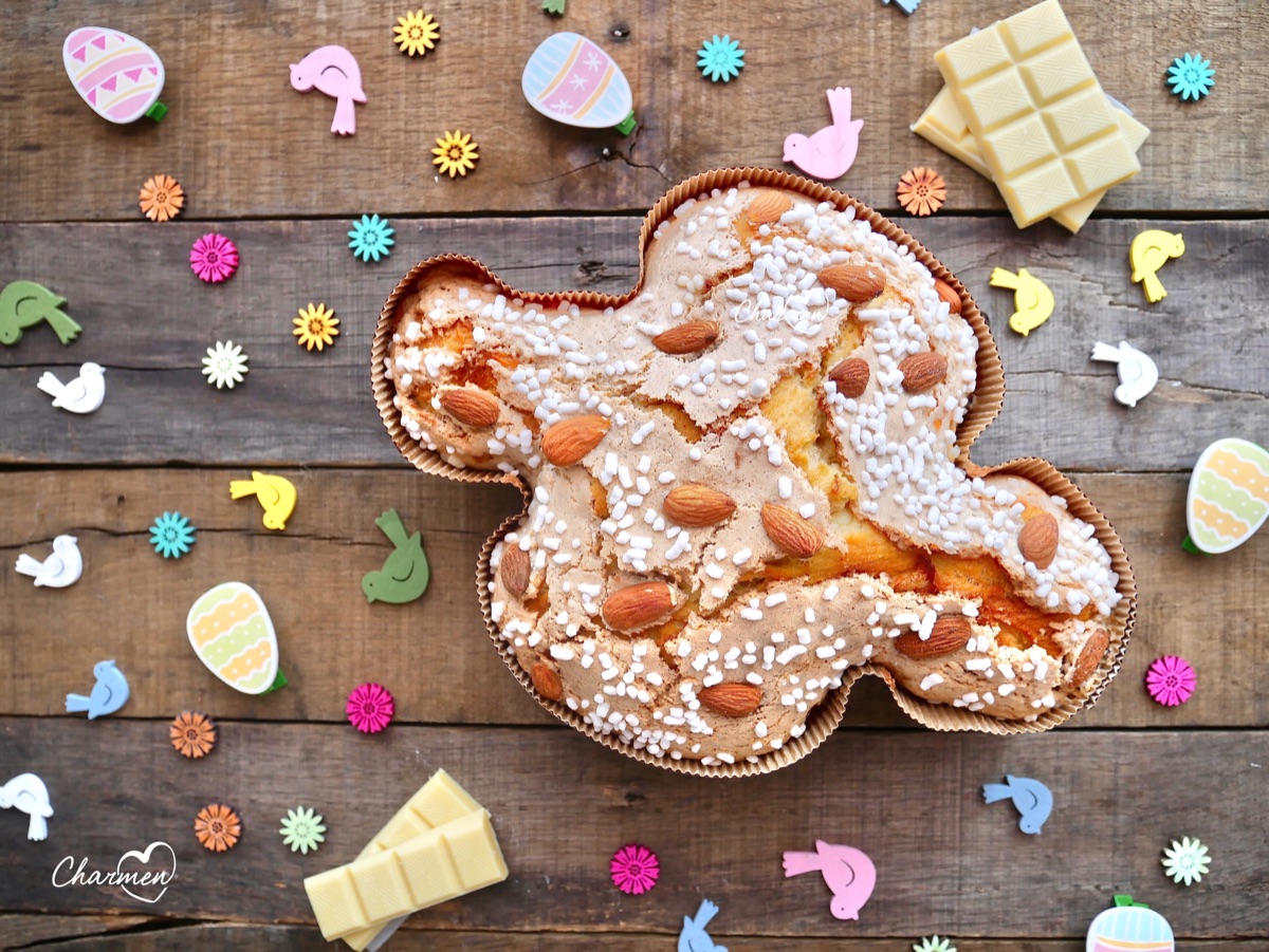 colomba al cioccolato con lievito di birra