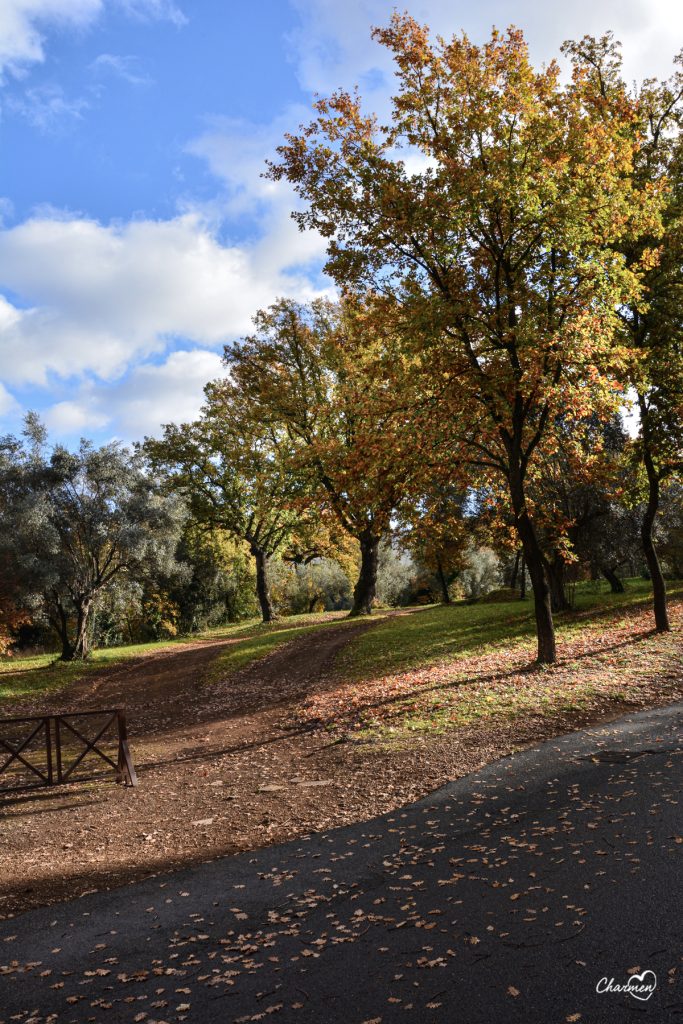 Villa Adriana Tivoli