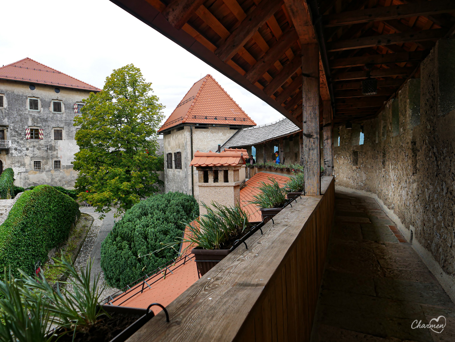 Castello di Bled 