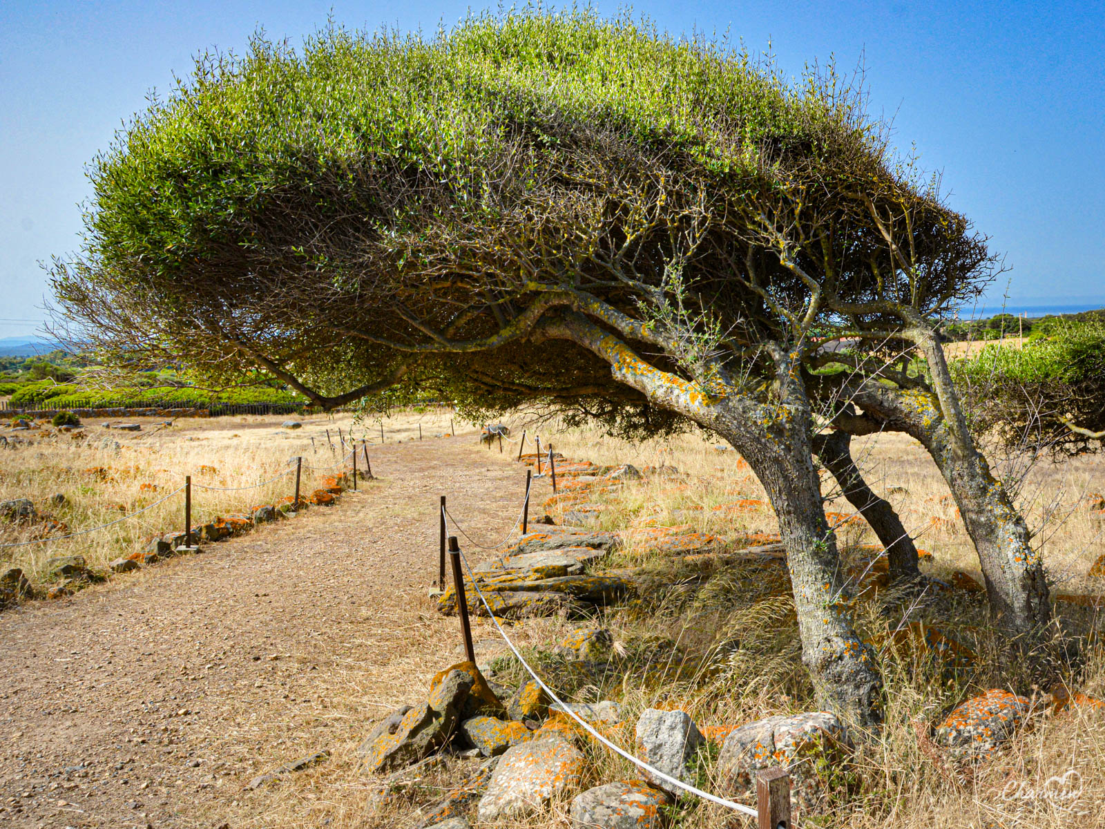 Nuraghe Seruci 