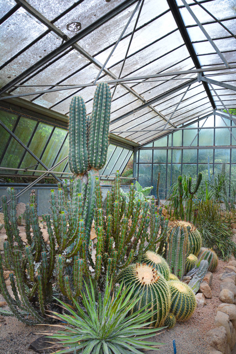 Orto Botanico Cagliari 