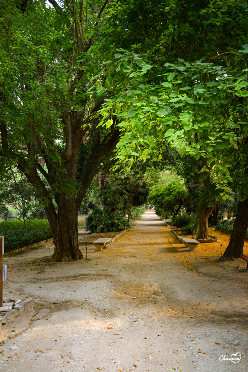 Orto Botanico Cagliari 