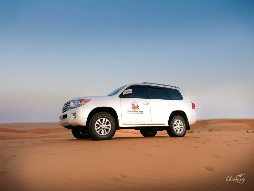 Oman Wahiba Sand Desert 