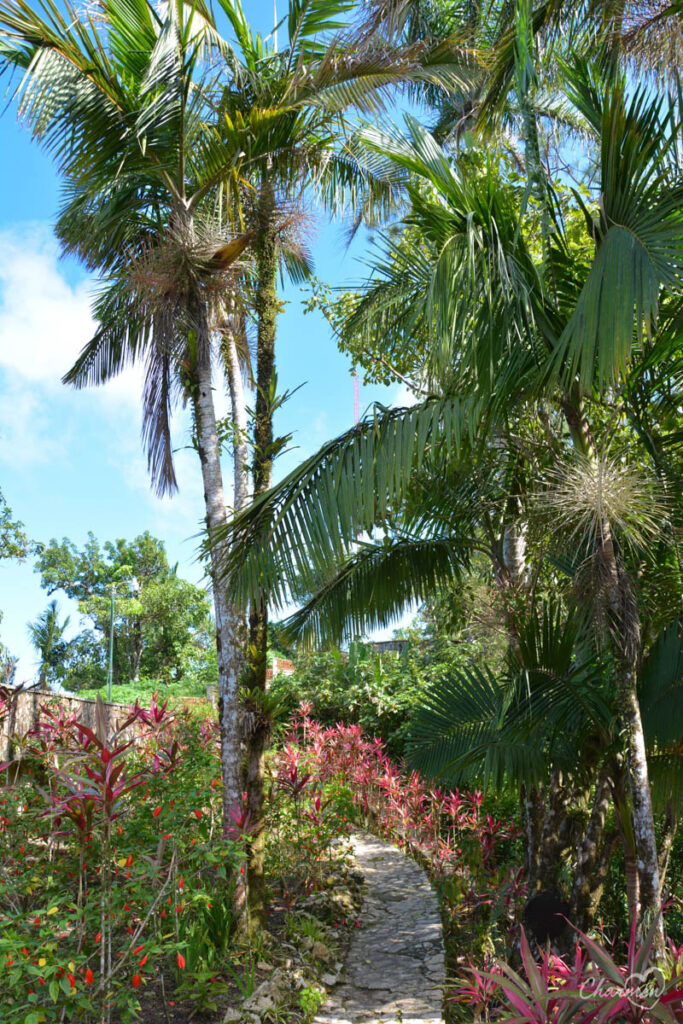 Puerto Plata Giardino Botanico Pico Isabela de Torres