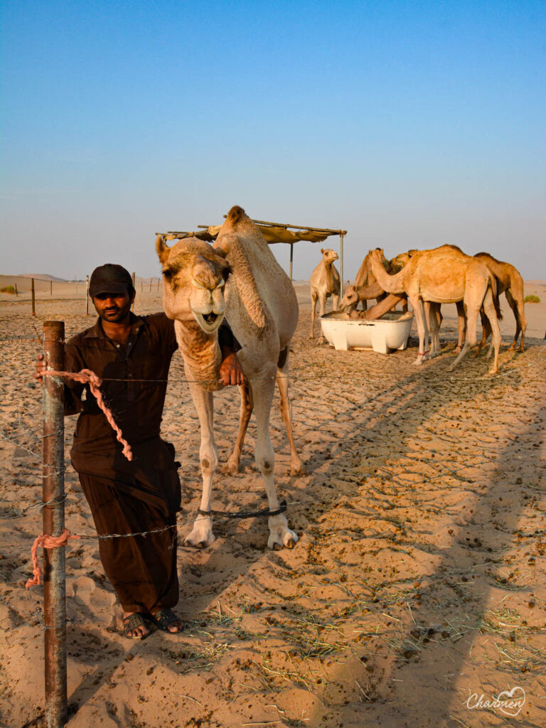 Camp al deserto Al Khatim 