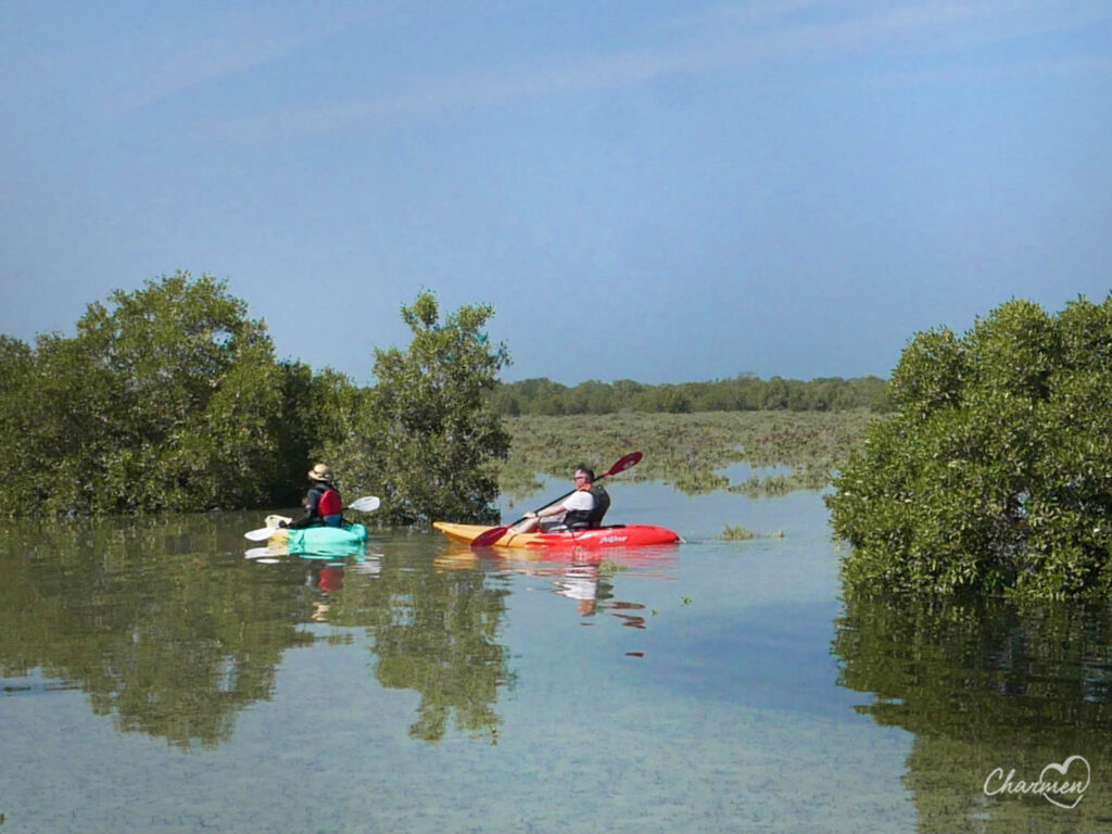 Mangrove National Park Jubail 