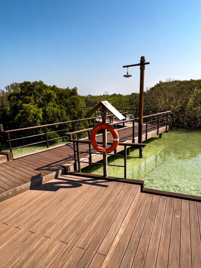 Jubail Mangrove National Park