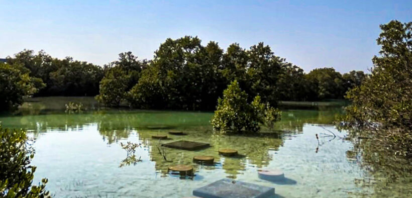 Jubail Mangrove National Park