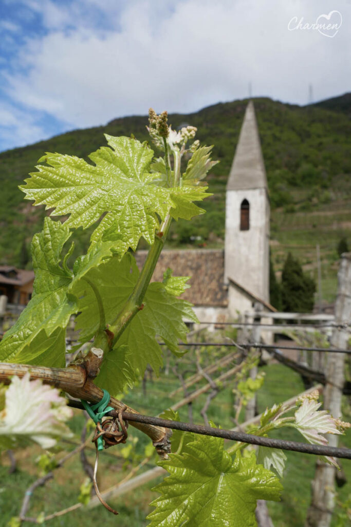 Vitigno di Schiava e Chiesa Santa Maddalena