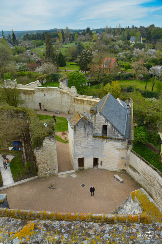 Donjon corte interna