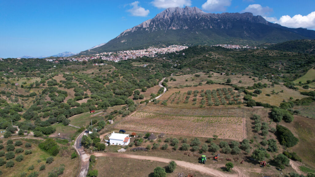 Veduta sul territorio di Oliena