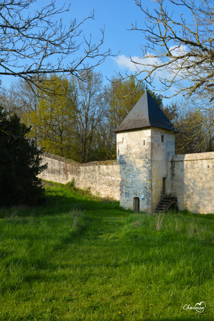 Chartreuse du Liget: torre medievale