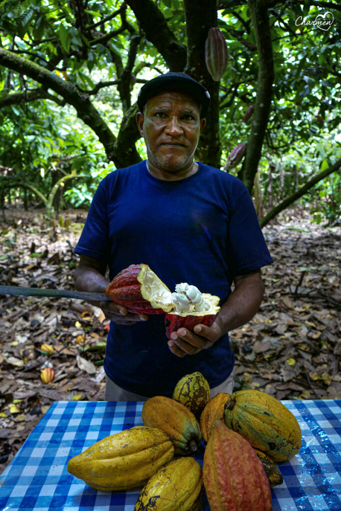 El Sendero del Cacao 